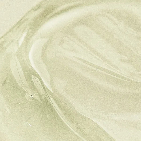 SKINEVER Salicylic Acid Acne Treatment Ice Sleep Masque 55ML